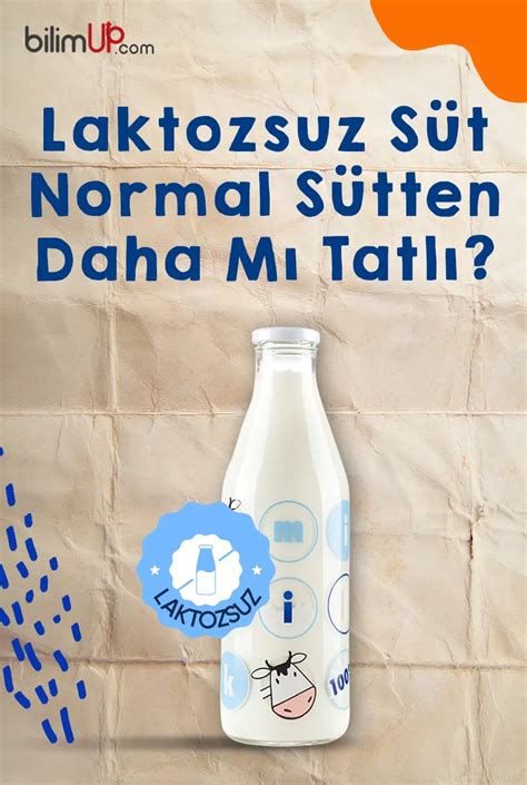 Diyette Normal Süt mü Laktozsuz Süt mü?